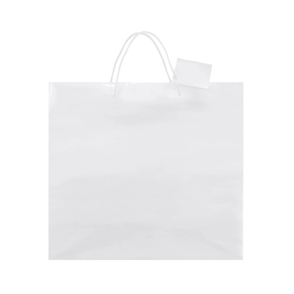 Immagine BORSA REGALO PLASTIFICATA 