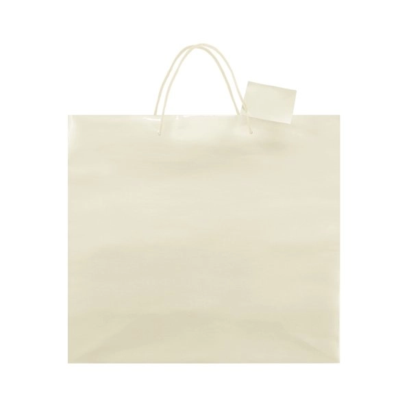 Immagine BORSA REGALO PLASTIFICATA 