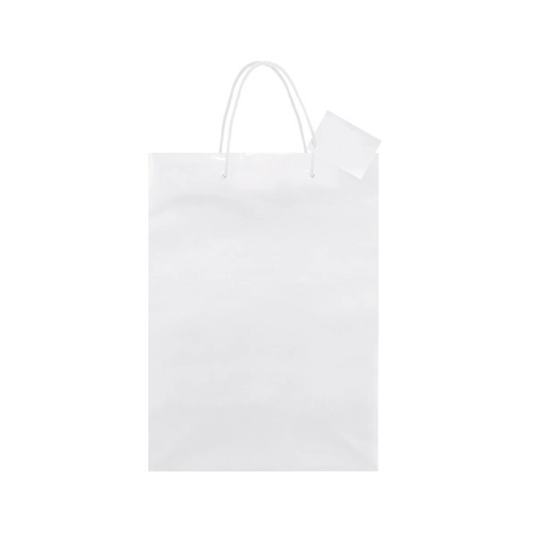 Immagine BORSA REGALO PLASTIFICATA 