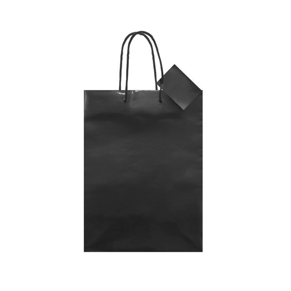 Immagine BORSA REGALO PLASTIFICATA 