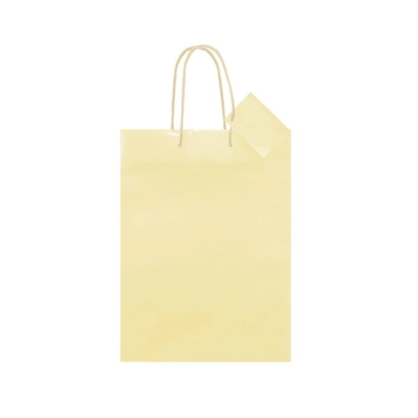 Immagine BORSA REGALO PLASTIFICATA 