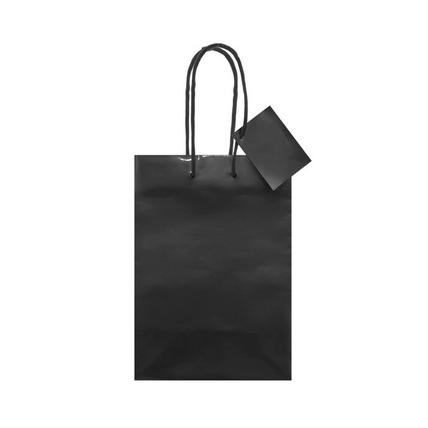 Immagine BORSA REGALO PLASTIFICATA 