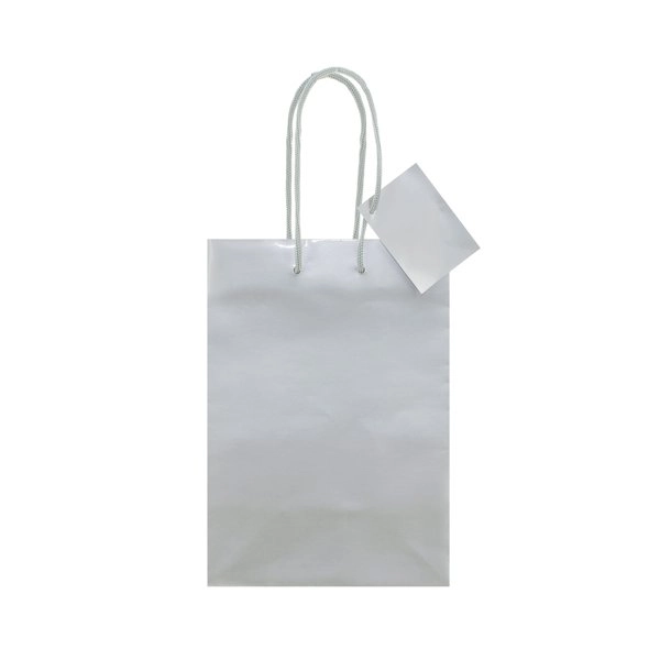 Immagine BORSA REGALO PLASTIFICATA 