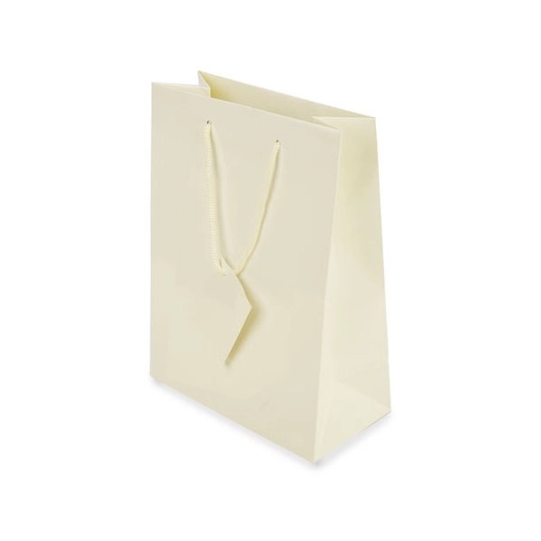 BORSA REGALO PLASTIFICATA 