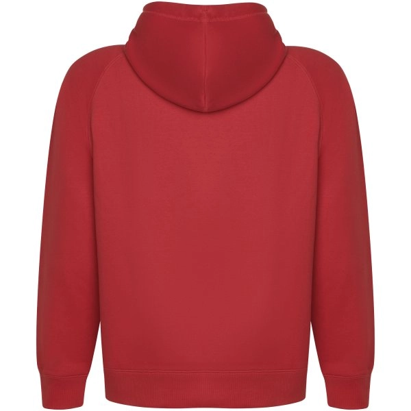 Immagine Felpa con cappuccio unisex in cotone biologico Vinson