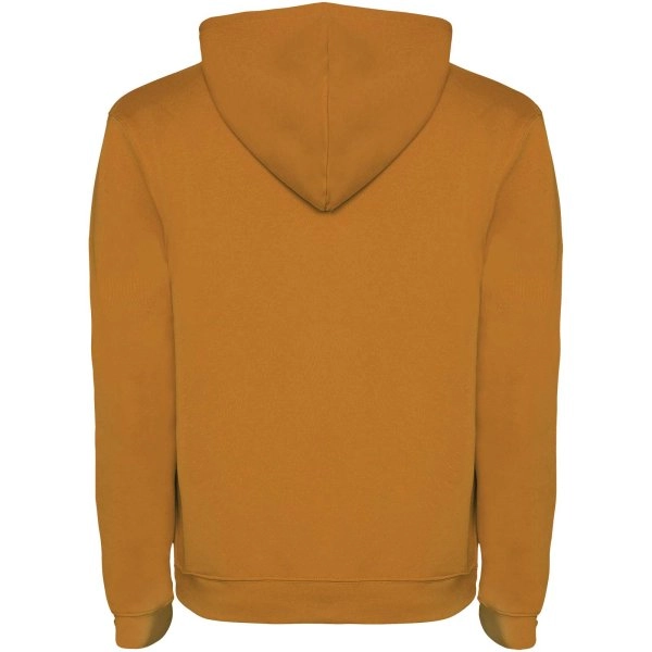 Immagine Felpa con cappuccio da uomo Urban
