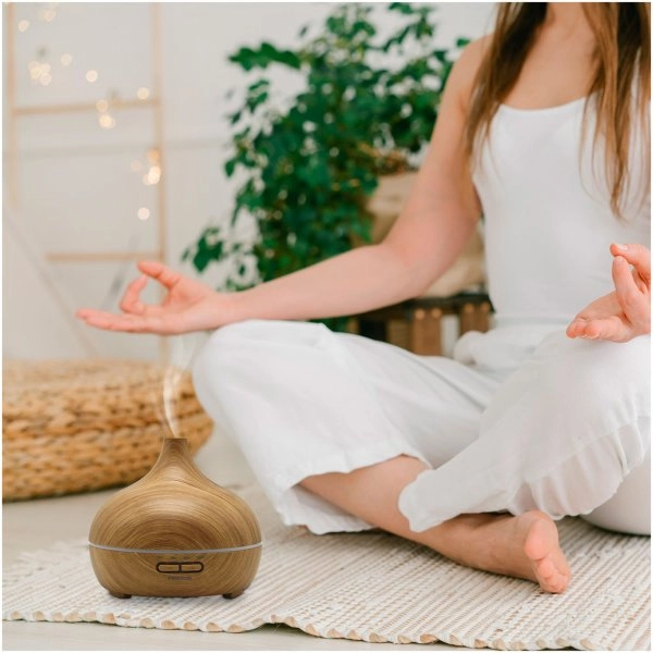 Immagine Umidificatore Prixton Hidra