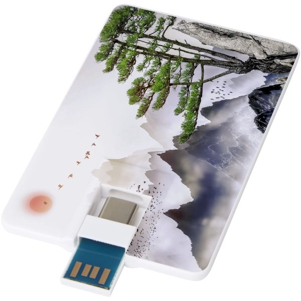 Immagine Chiavetta USB 3.0 da 32 GB con porta Tipo-C e USB-A Duo slim