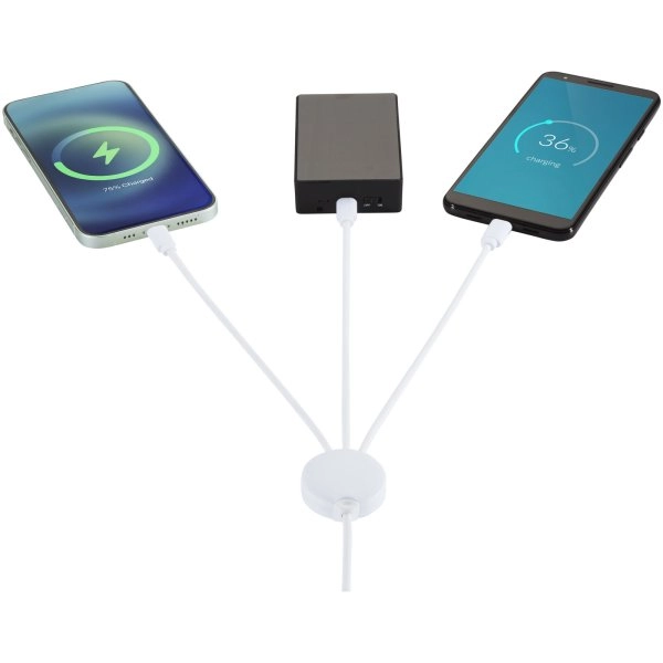 Immagine Cavo di ricarica 5 in 1 con additivo antibatterico Pure