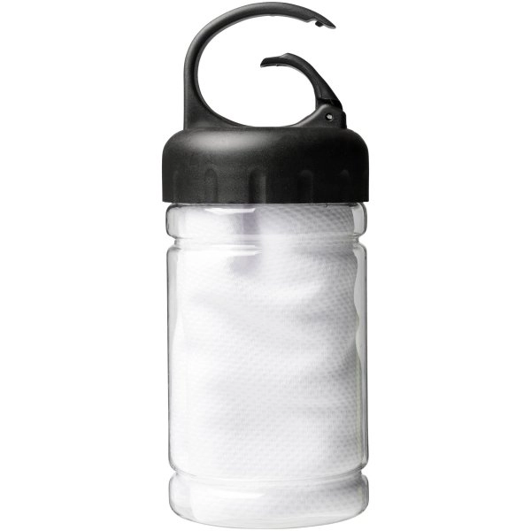 Immagine Asciugamano rinfrescante in contenitore PET Remy