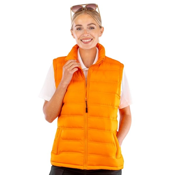 Immagine Womens Ice Bird Padded Gilet
