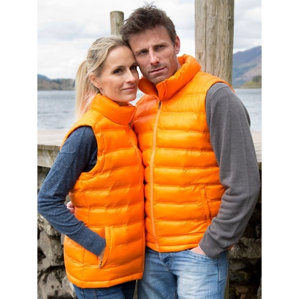 Immagine Womens Ice Bird Padded Gilet