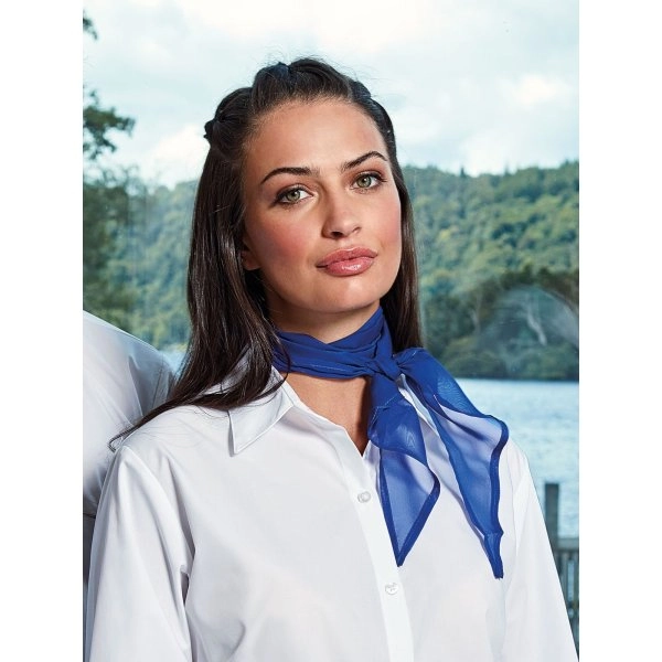 Immagine Ladies Chiffon Scarf