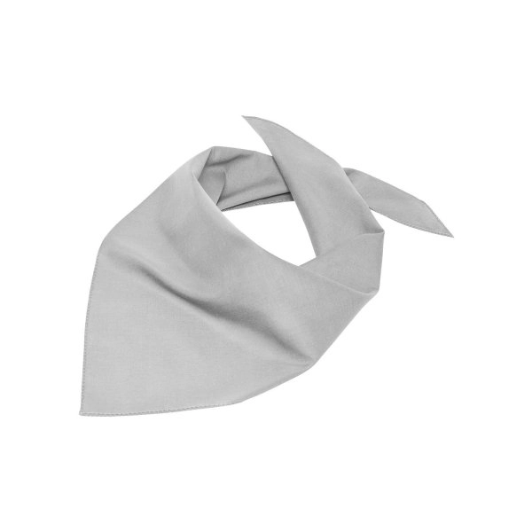 Immagine Triangular Scarf