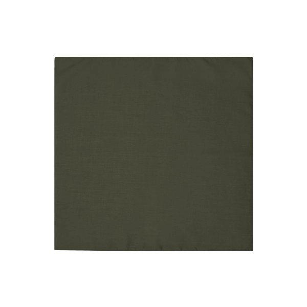 Immagine Bandana