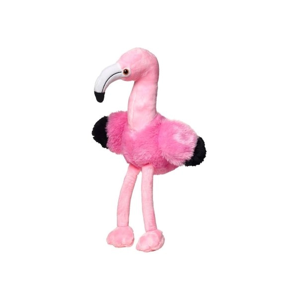 Immagine Flamingo Fernando