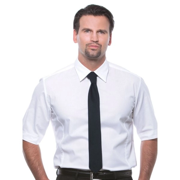 Immagine Necktie 148 x 6,5 cm