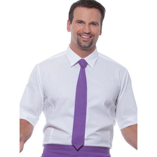 Immagine Necktie 148 x 6,5 cm