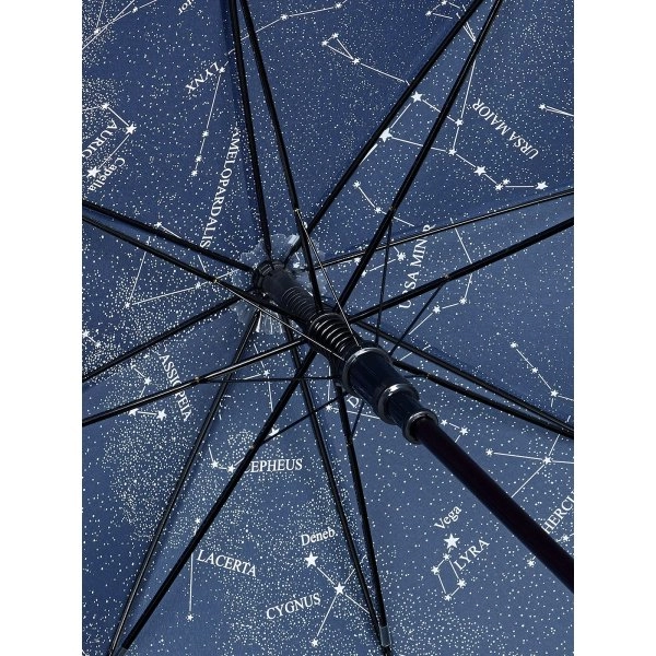 Immagine AC woodshaft regular umbrella