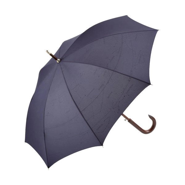 Immagine AC woodshaft regular umbrella