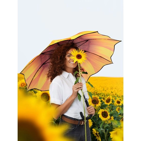 Immagine AC regular umbrella FARE-Motiv