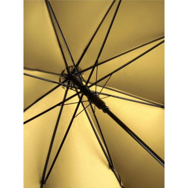 Immagine AC regular umbrella FARE® Doubleface