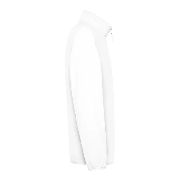 Immagine Micropile Polaris