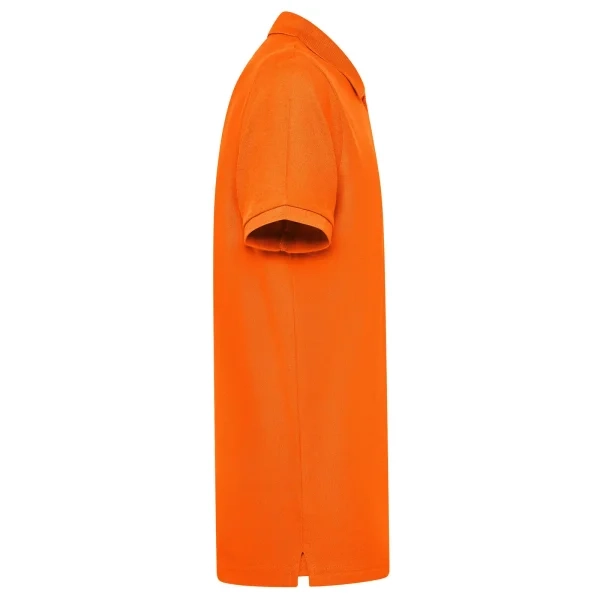 Immagine Evolution Polo