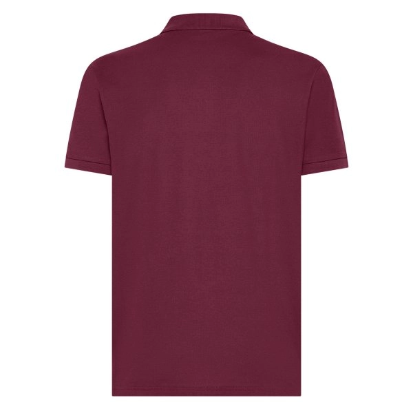 Immagine Evolution Polo