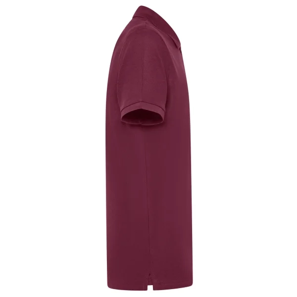 Immagine Evolution Polo