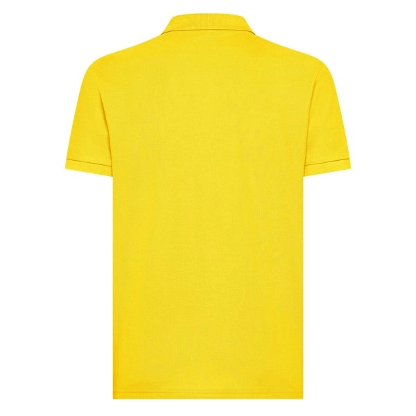 Immagine Evolution Polo