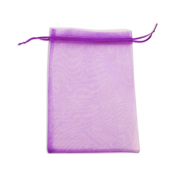 Immagine BORSA REGALO ORGANZA 24X17CM 