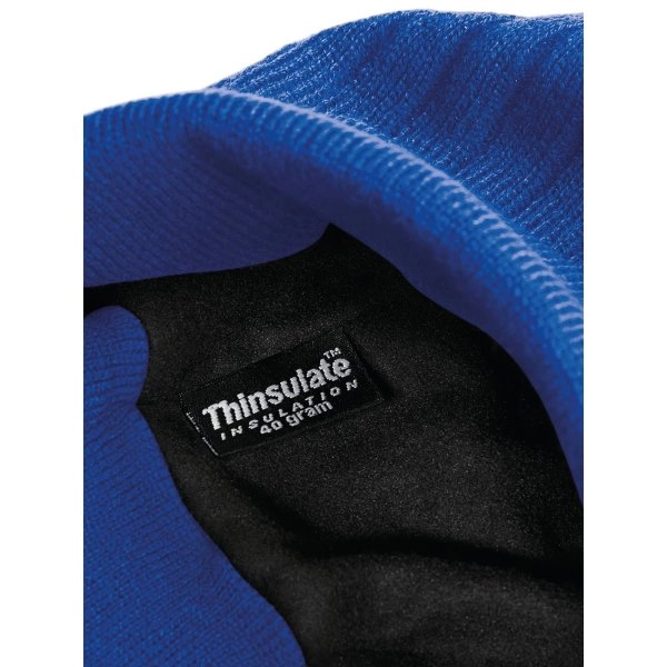 Immagine Thinsulate Beanie