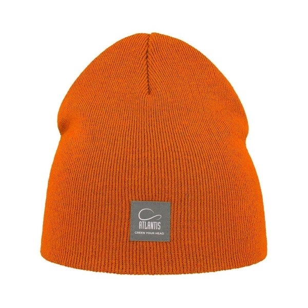 Immagine Recy Beanie