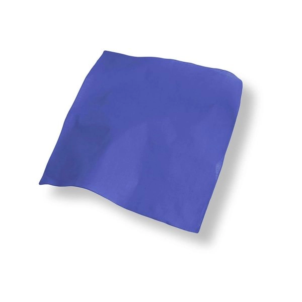 Immagine Bandana Goal