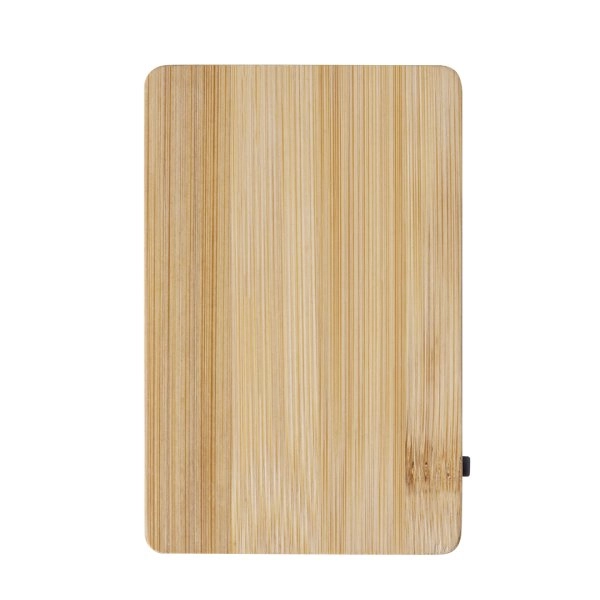 Immagine Power Bank Dominik