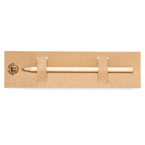 Immagine Matita Semi Etesio