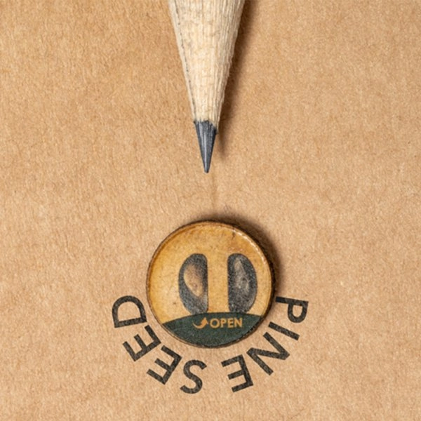 Immagine Matita Semi Etesio