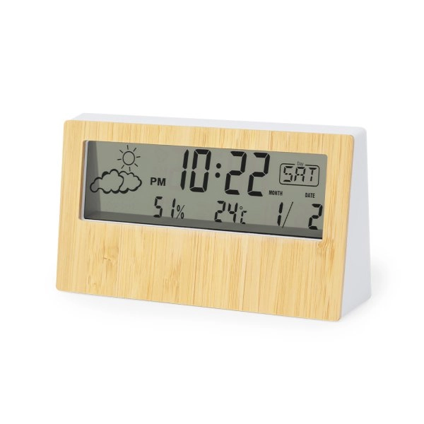 Immagine Stazione Meteorologica Roamer