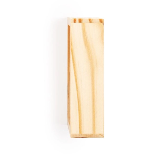 Immagine Gioco di Abilità Bucher