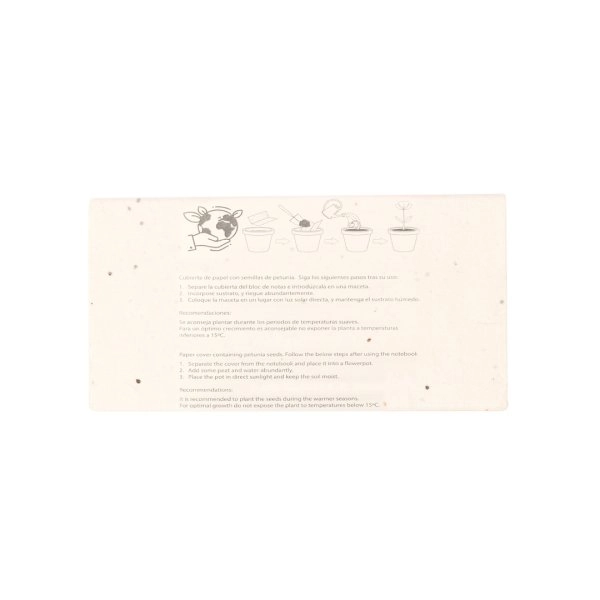 Immagine Set Matite con Semi Delar