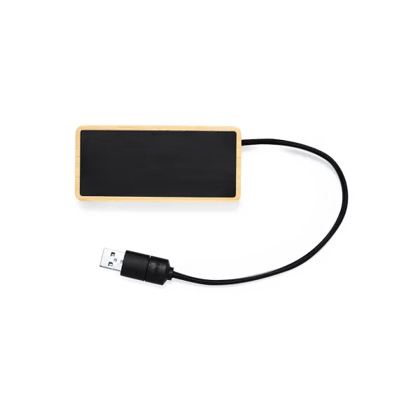 Immagine Porta USB Ginger
