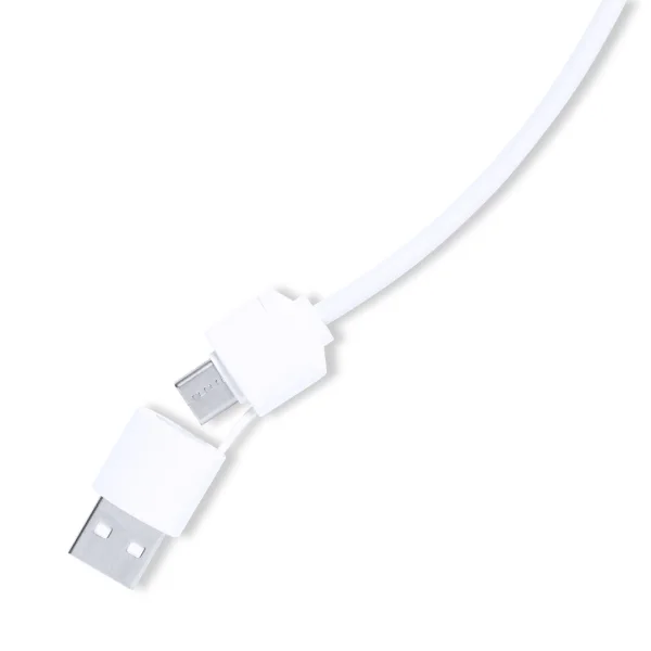 Immagine Porta USB Lasiar