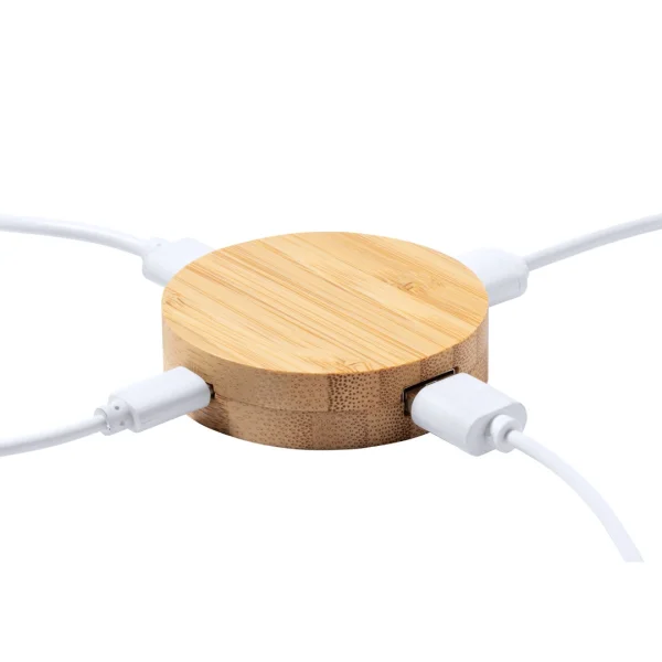 Immagine Porta USB Lasiar