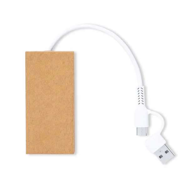 Immagine Porta USB Hasgar