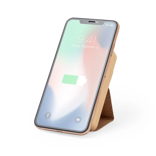 Immagine Power Bank Dobson