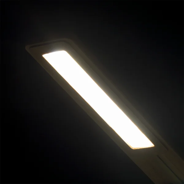 Immagine Lampada Caricatore Sleya