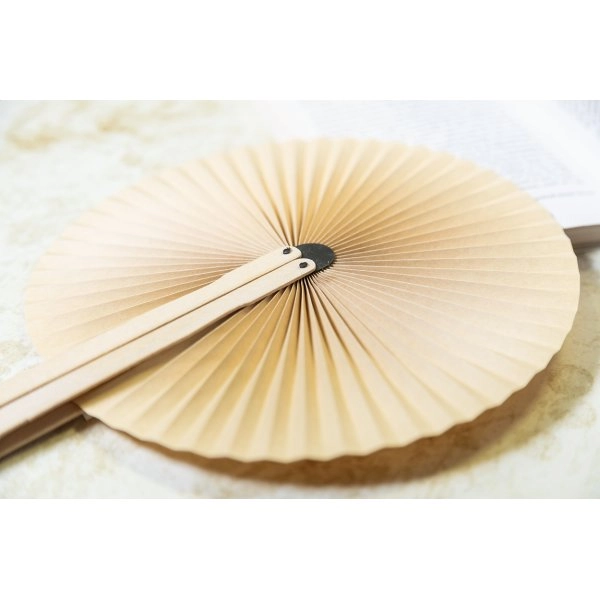 Immagine Lolli Ventaglio