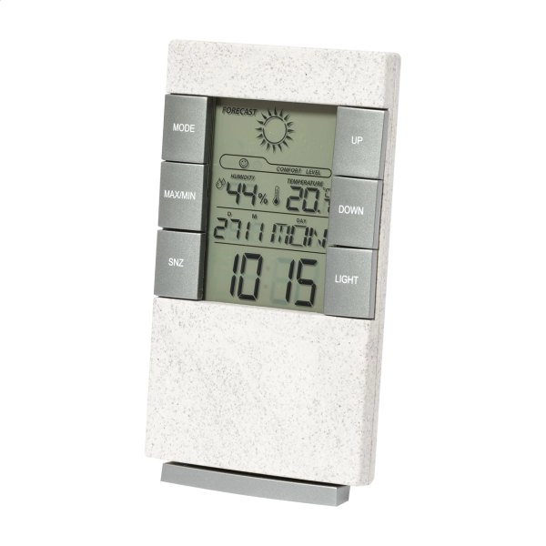 Immagine Florida stazione metereologica in bambù