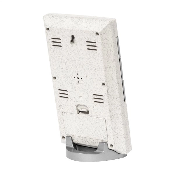 Immagine Florida stazione metereologica in bambù